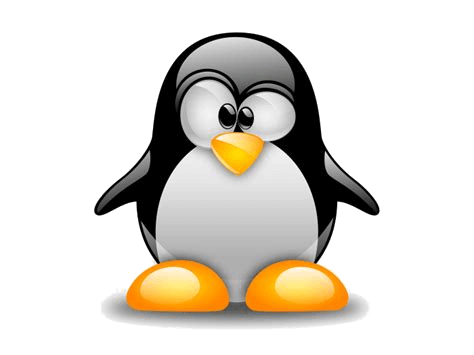 Linux SSH