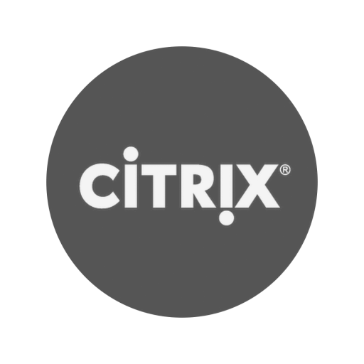 Citrix Director