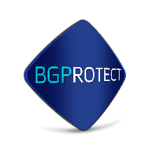 BGProtect DNS Guard